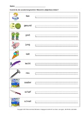 AB-Nomen-Adjektiv-LIN-3-2.pdf